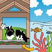 Omezování emisí enterického metanu: Jak může nová dieta našich kraviček pomoci v boji s klimatickými změnami.