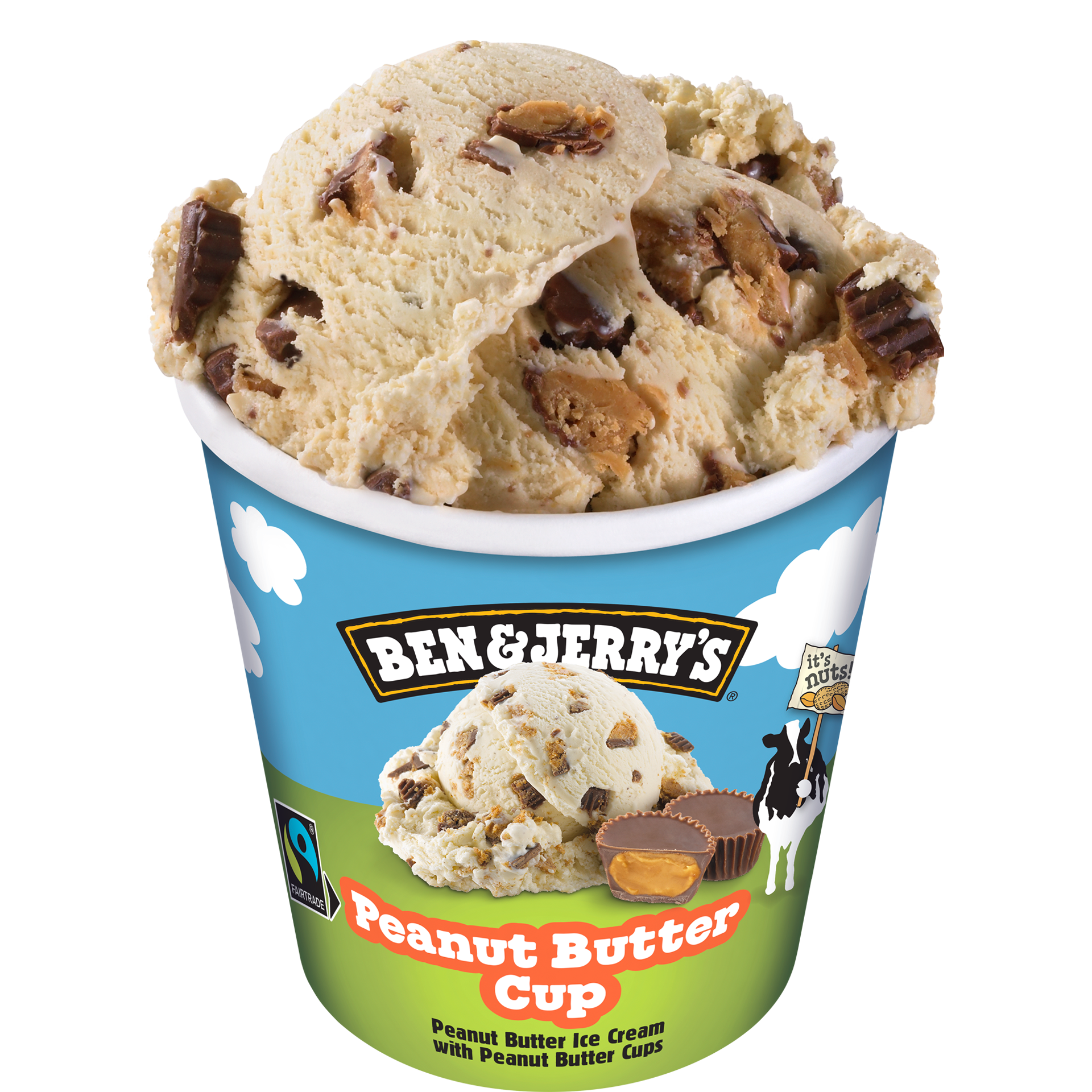 Peanut Butter Cup Original Ice Cream Pullitry